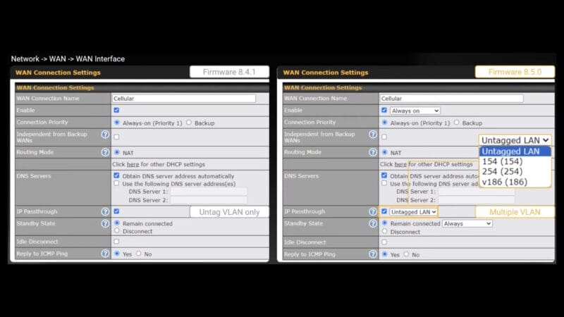 Peplink Multiple IP Passthrough